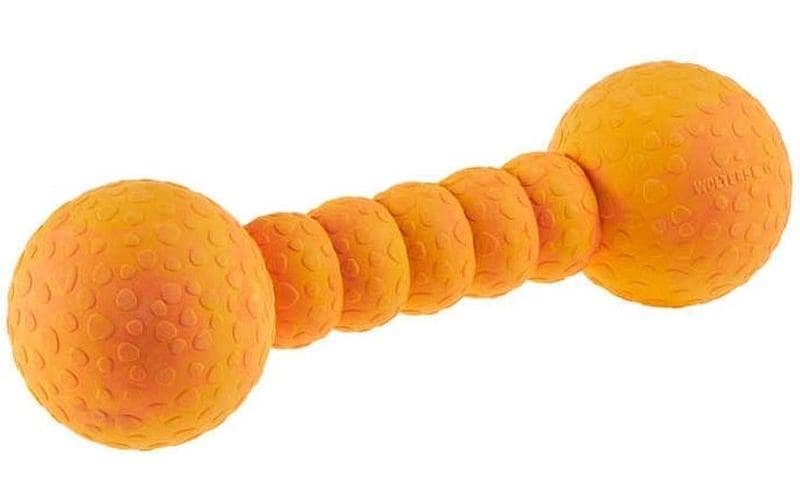 Wolters Jouet pour chien Aqua-Fun Gym, 23 cm