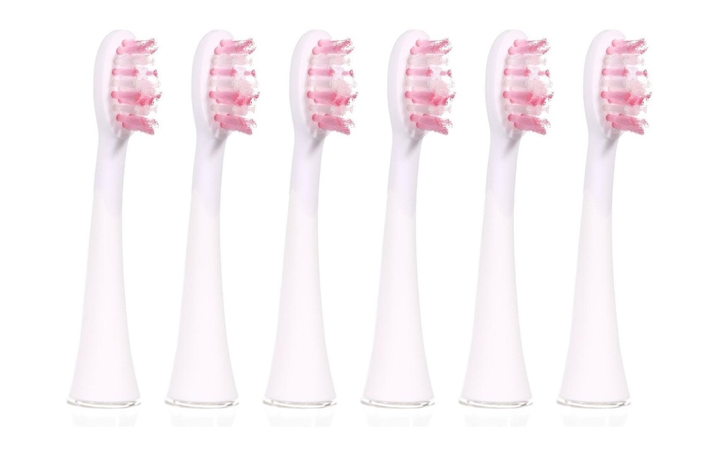 Ailoria Tête de brosse à dents Shine Bright Extra Clean Weiss, 6 Pièce/s