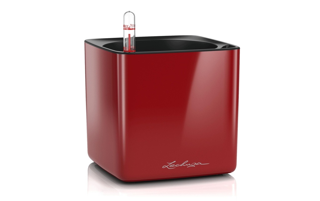 Lechuza Pot de fleur CUBE Glossy 14 Vin rouge