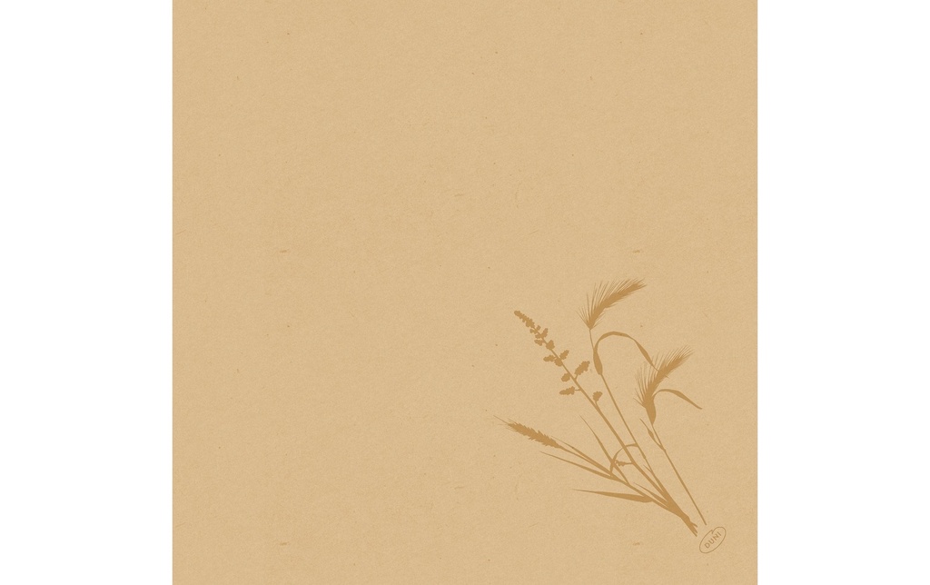 Duni Serviettes en papier Meadow 40 cm x 40 cm, 60 Pièce/s, Nature