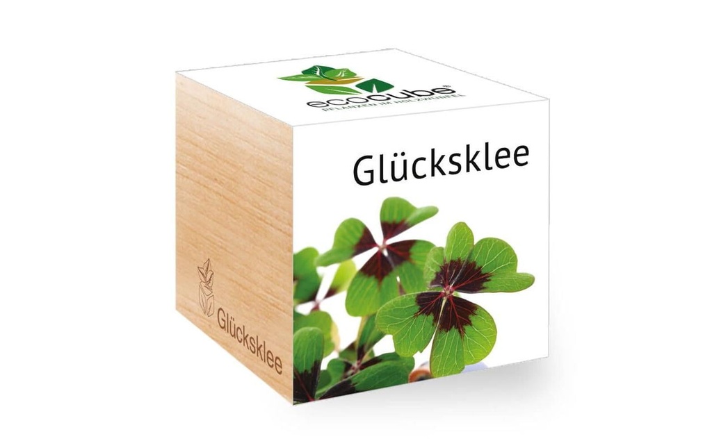 Feel Green Ecocube Trèfle à quatre feuilles