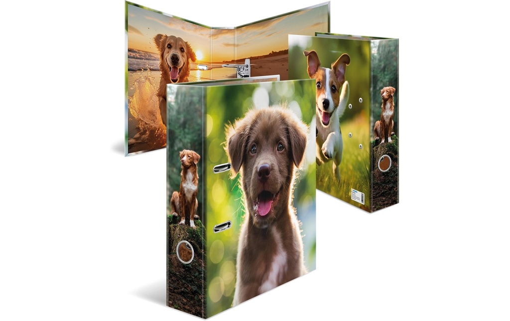 HERMA Classeur A4 70mm chien