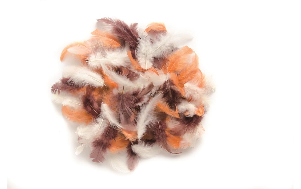 Glorex Plumes Deco Brun