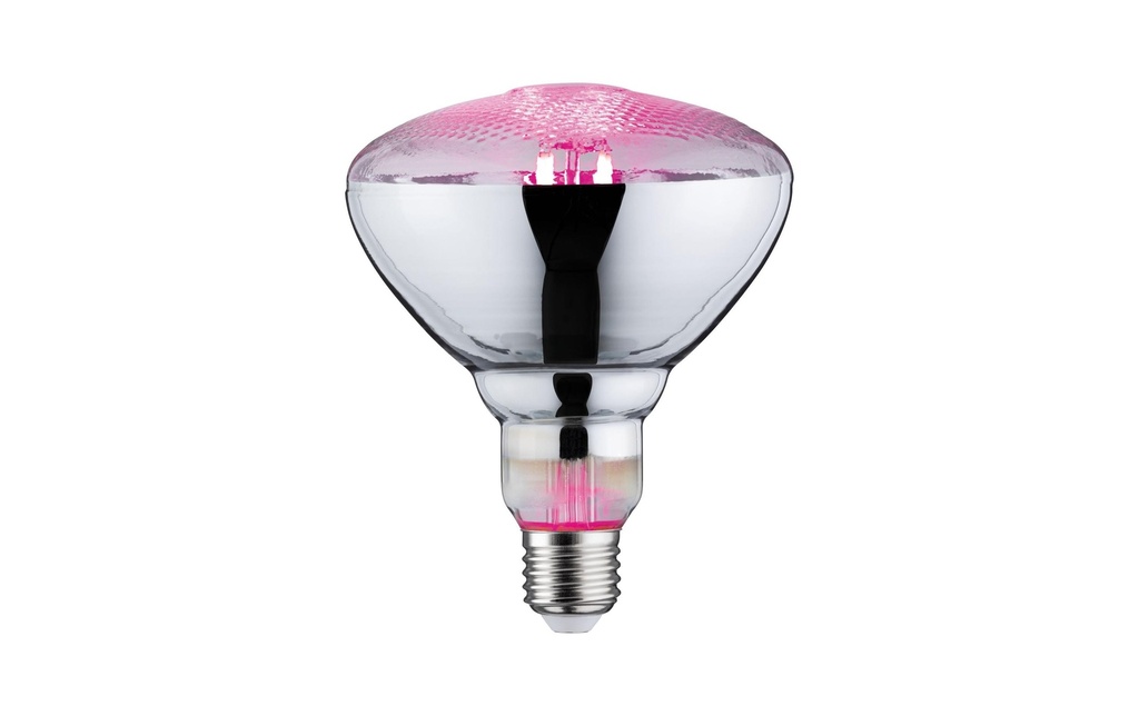 Paulmann Ampoules Grow Green PAR38 E27, 6.5 W
