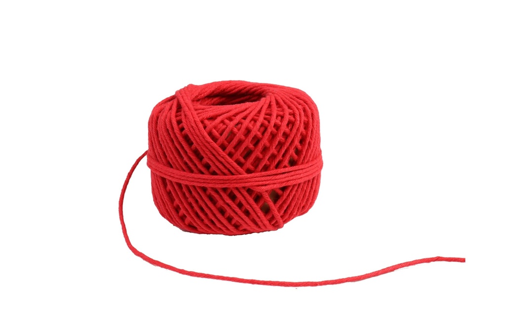 Pattberg Cordon Ø 2 mm x 15 m, rouge