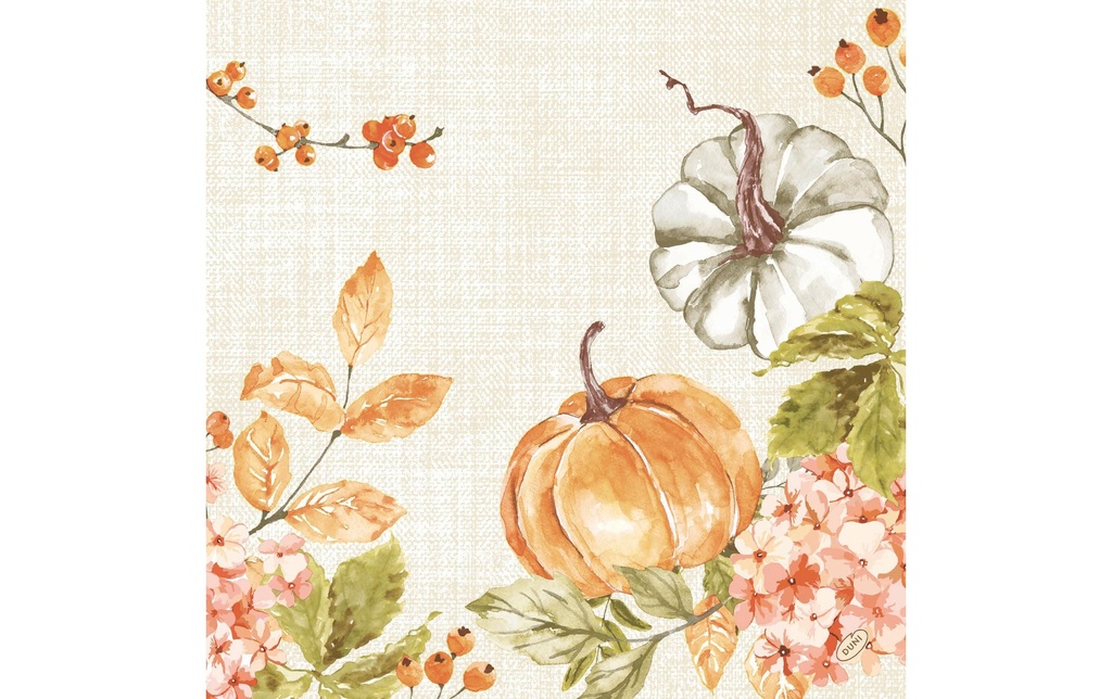 Duni Serviettes en papier Spicy Pumpkin 40 cm x 40 cm, 60 Pièce/s