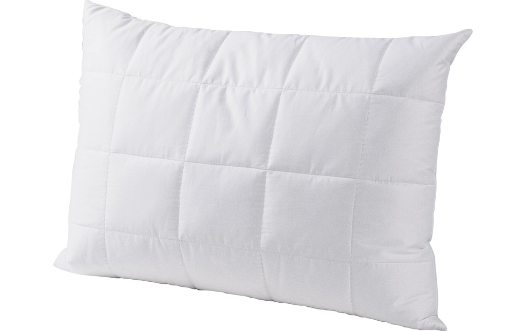 DOR Oreiller classique Linum 50 x 70 cm