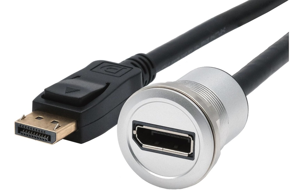 Exsys Adaptateur encastrable métal DisplayPort femelle à mâle 30cm