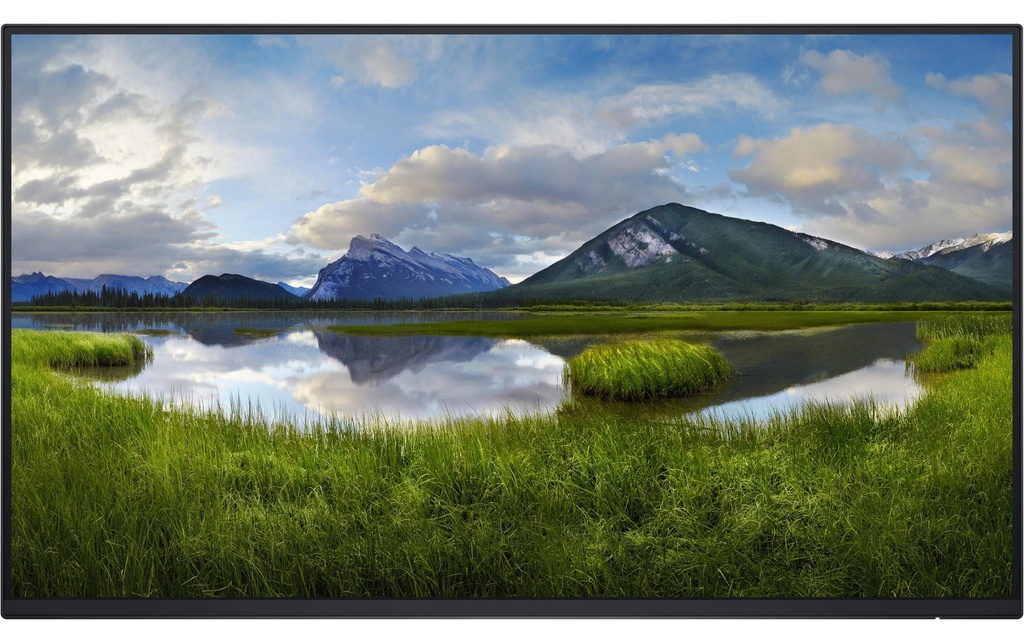 Dell Moniteur P2425H WOST sans pied