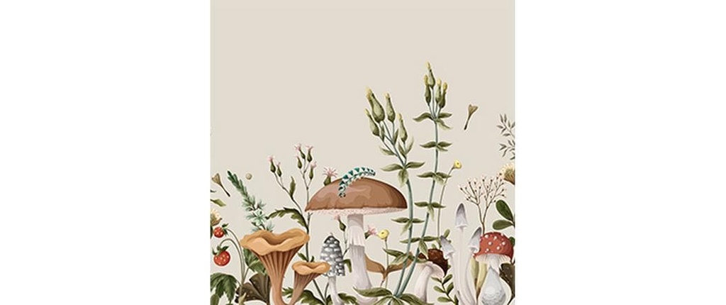 Braun + Company Moonbeam Beige, 20 pièces