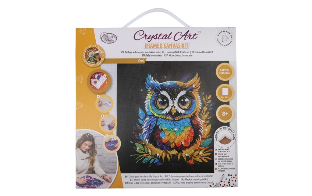 CRAFT Buddy Kits de bricolage Crystal Art Kit Hibou