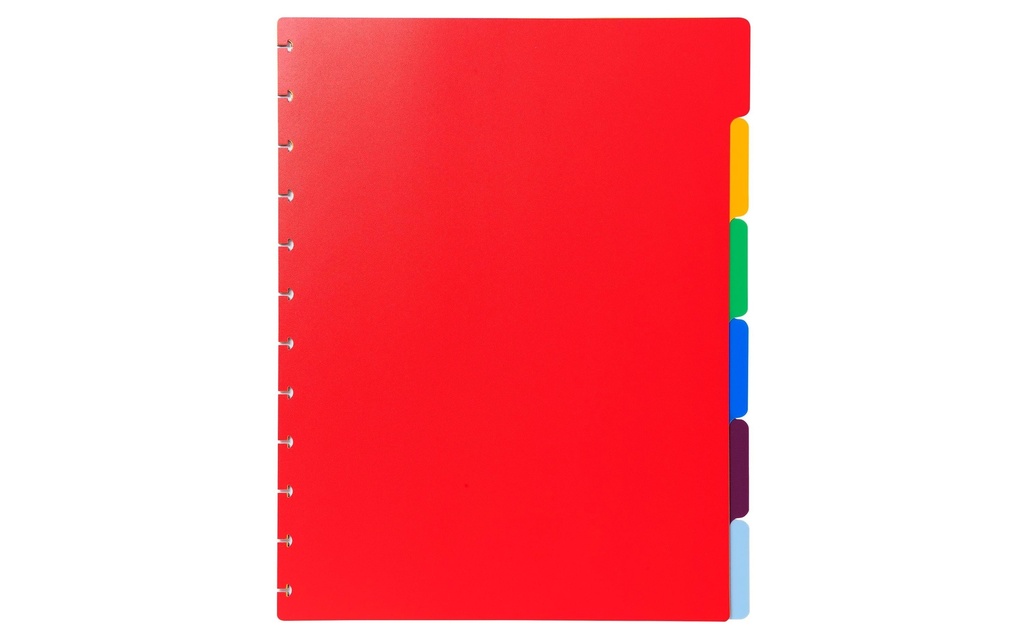 [100860006] EXACOMPTA Registre A4+ 6sép assorti