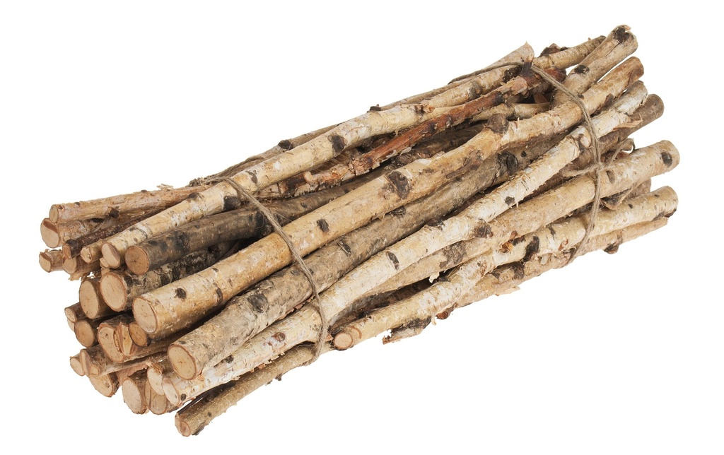Opiflor Branches de bouleau en fagot 1-2.5 x 50 cm