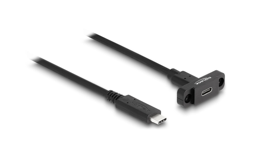 Delock Câbles rallonges à encastrer USB 3.0 USB-C - USB-C 1 m