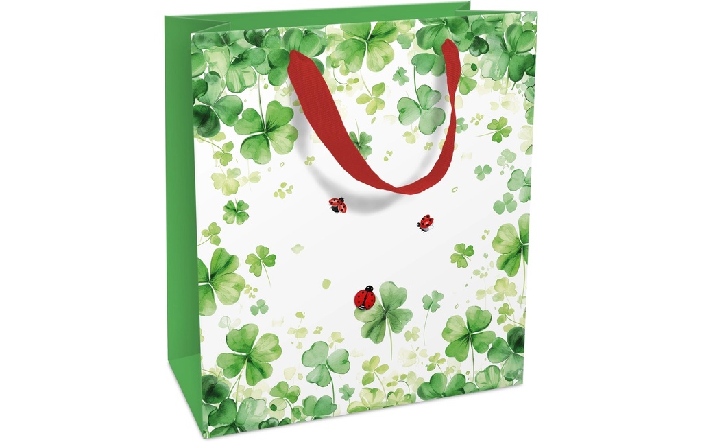 Braun + Company Sac cadeau Lucky You 18 x 21 x 8 cm