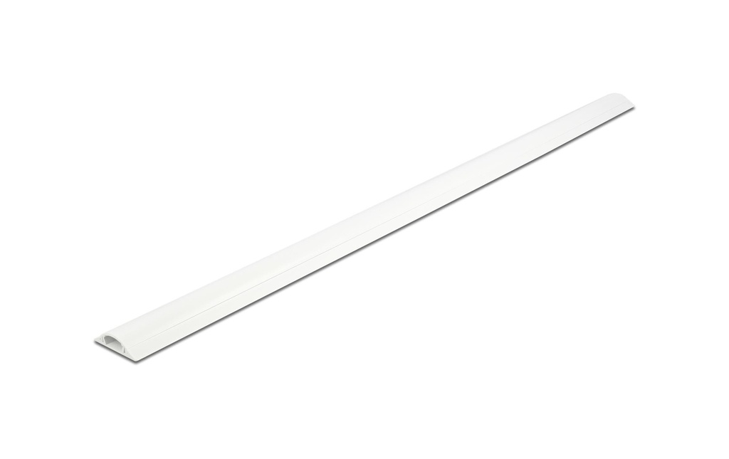 Delock Goulotte autocollant 1 m x 30 mm Blanc