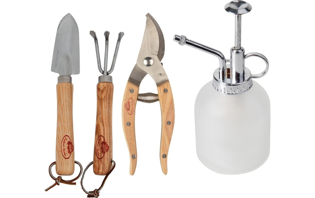 Esschert Design Kit de plantes à cannelle 4 pièces
