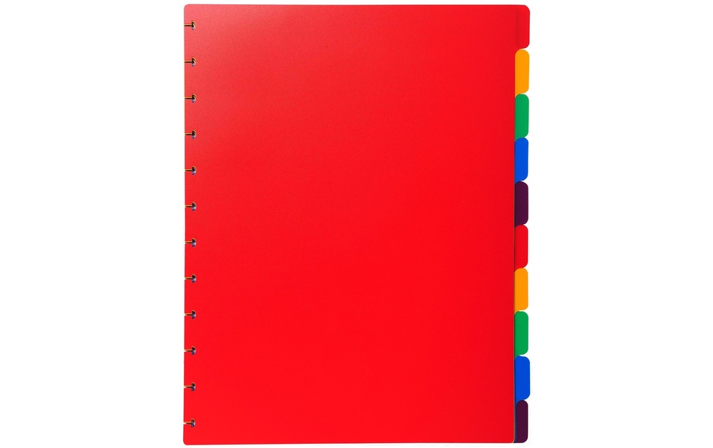 EXACOMPTA Registre A4+ 10sép assorti