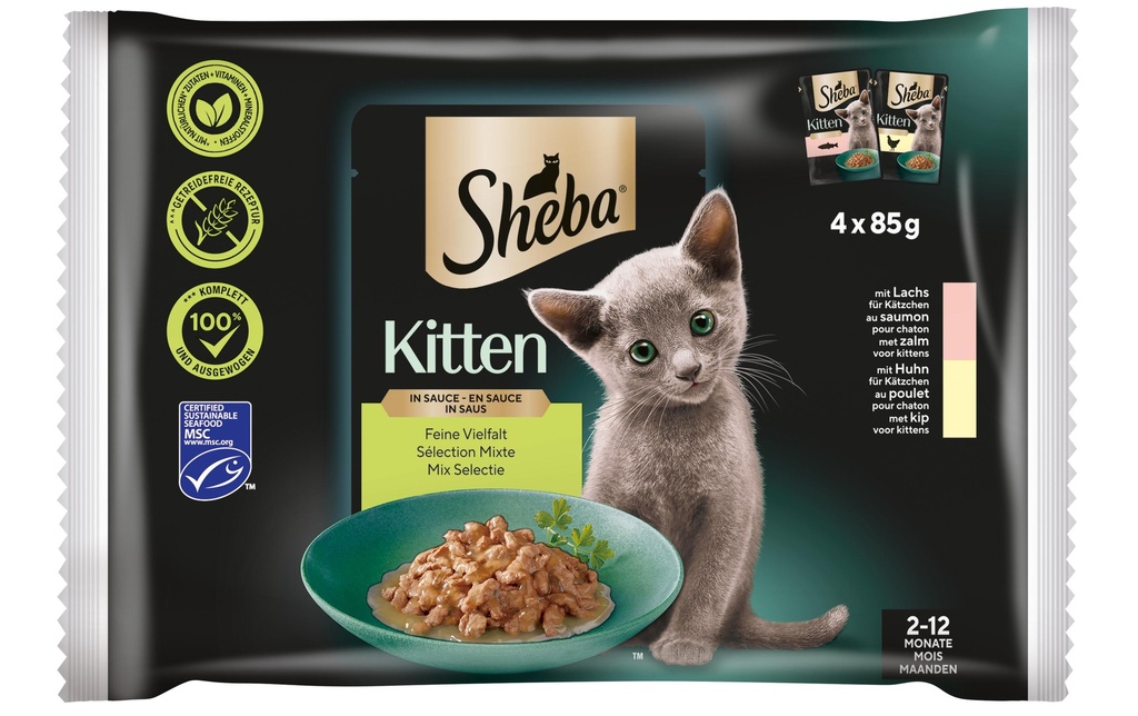 Sheba Alimentation humide Kitten Sauce fine diversité, 4 x 85g