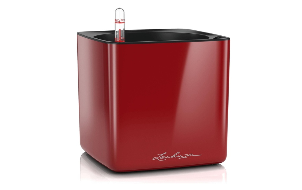 Lechuza Pot de fleur CUBE Glossy 16 Vin rouge