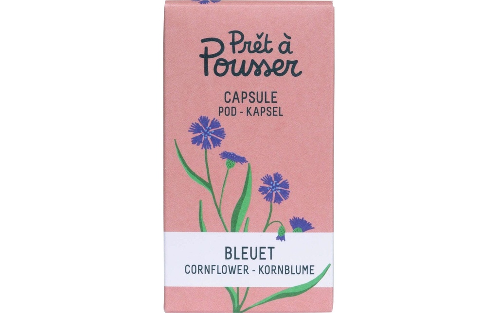 Prêt à Pousser Semence Bleuet
