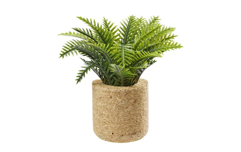 HobbyFun Mini ustensiles Plante de palmier