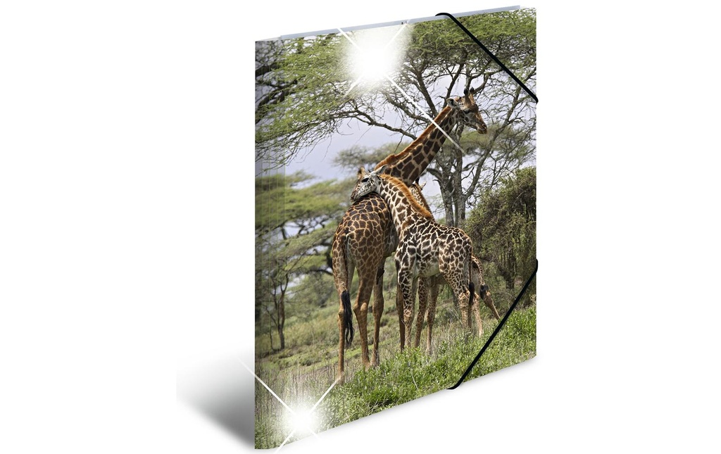 HERMA Portfolio à ruban élastique A3 Girafe, polypropylène, avec impression intérieure