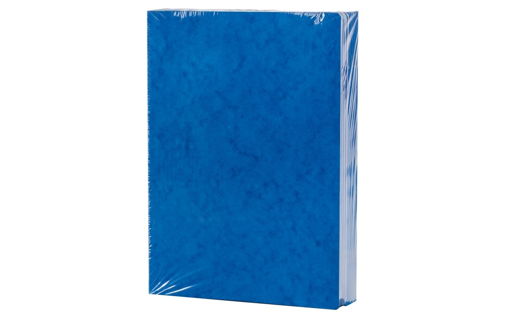 office focus Cahier d'école A4 quadrillé 40 feuilles, bleu, 10 pièces