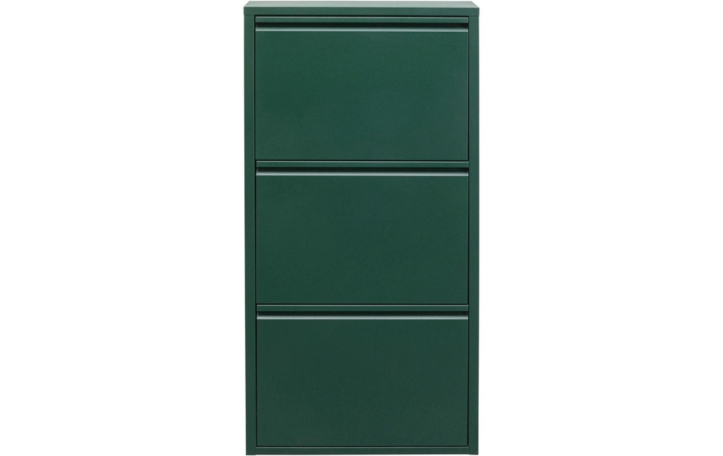 Kare Armoire à chaussures Caruso 3-, 50 x 103 cm, Vert