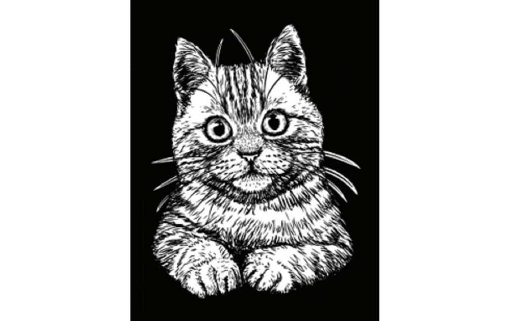 Tataruga Image de velours A4, chaton