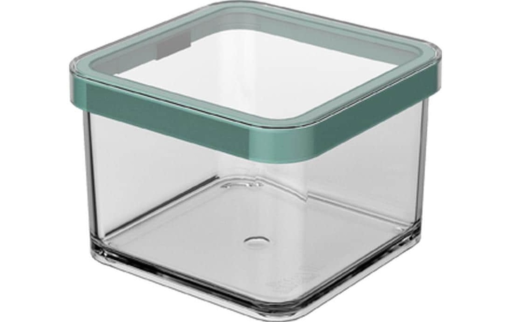 Rotho Récipients à provisions Premium Loft 0.5 l, Transparent/Vert
