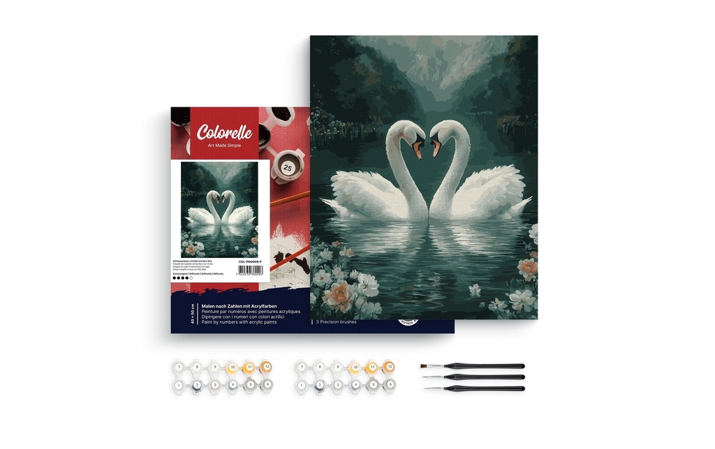 Colorelle Peinture avec chiffres Couple de cygnes amoureux sur le lac