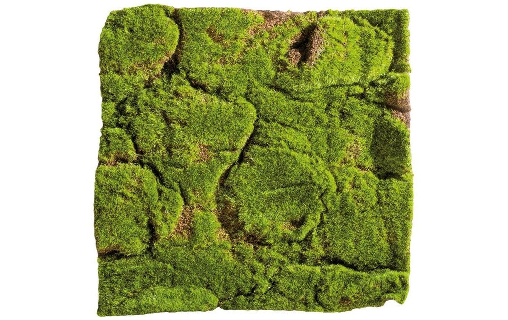 Dekomat AG Tapis de mousse 30 x 30 cm
