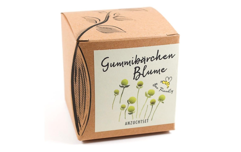 Naturkraftwerk Kits de culture de semis Fleur de gomme