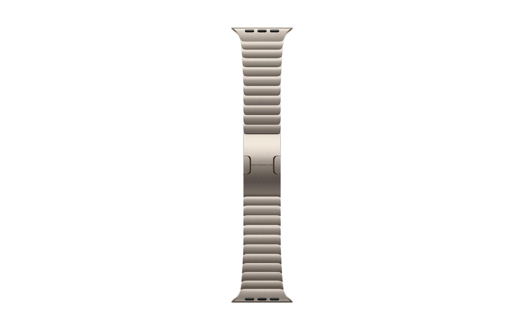 Apple Bracelet Link 46 mm Argent