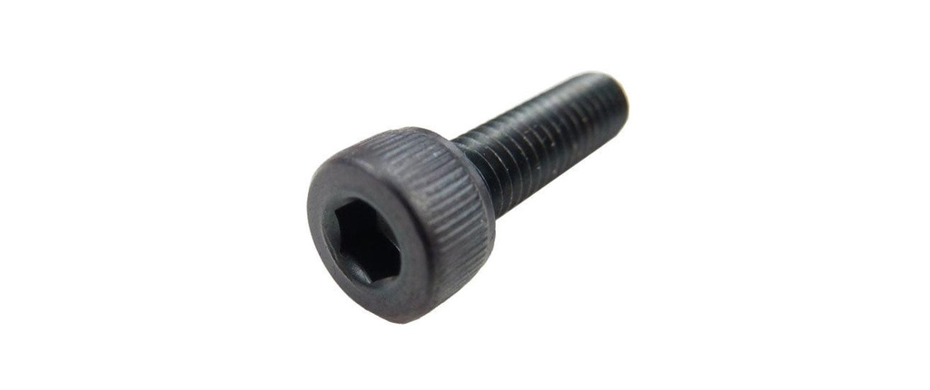 EP Vis à tête cylindrique M2,5x10 mm