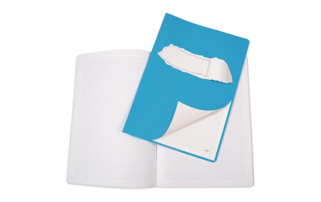 ELCO Cahier d'école Carré de 4 mm avec bordure A4