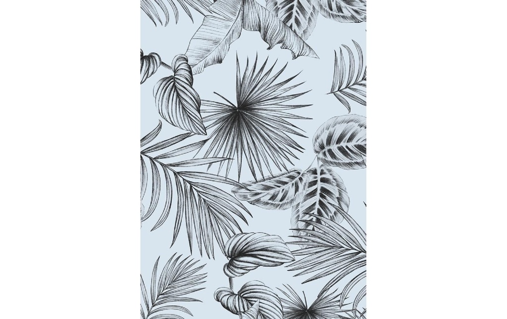 d-c-fix Film de fenêtre Botanicals 45 x 150 cm