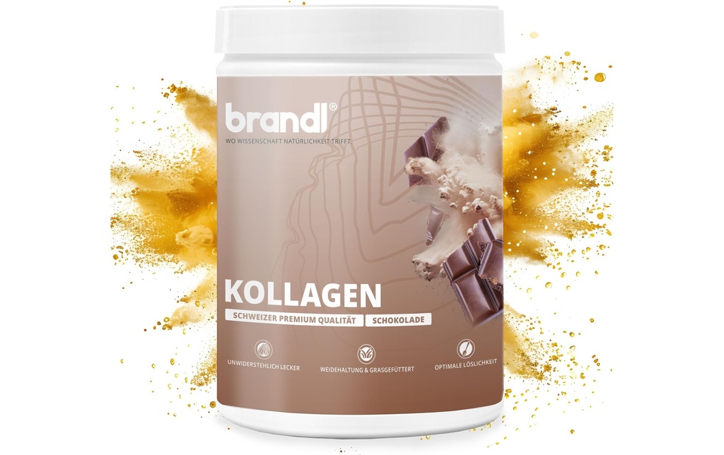 Brandl-Nutrition Poudre Collagène Chocolat 555 g