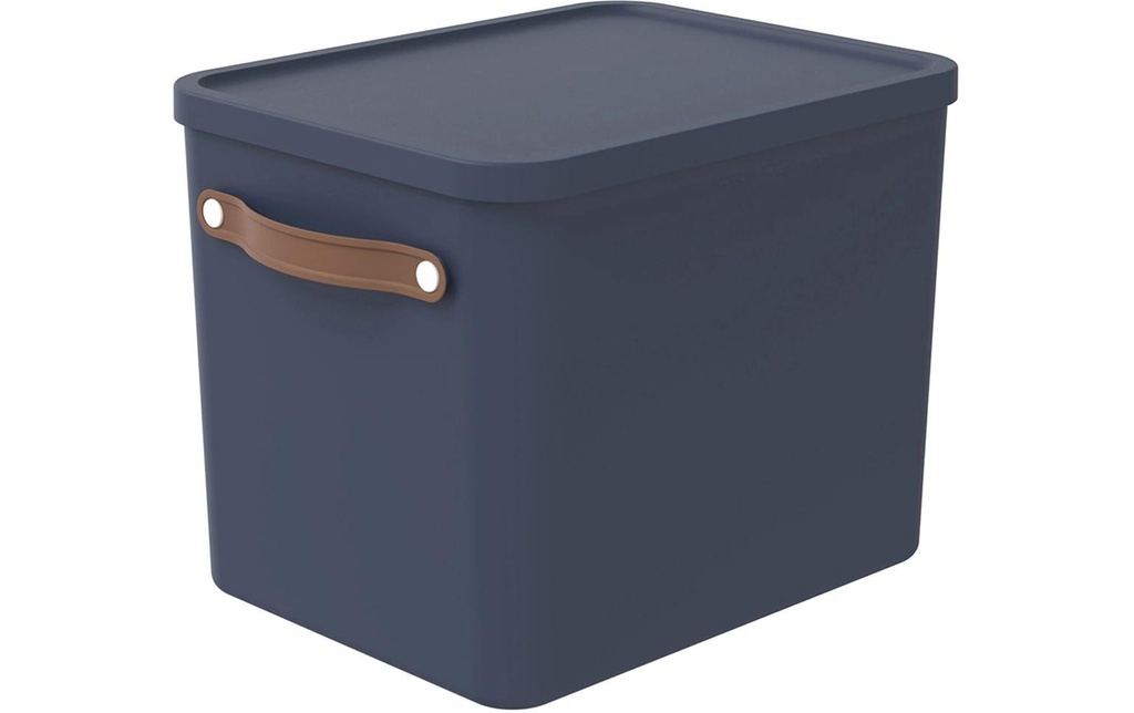 Rotho Boîte de rangement MALOJA Bleu foncé