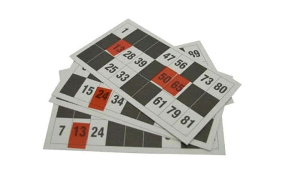 Ravensburger Cartes de loto Cartes de loto 24 pièces