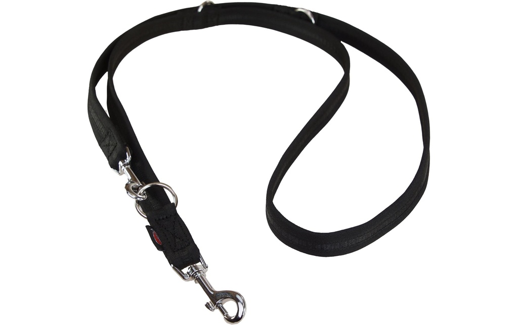 Grossenbacher Laisse de chien 180 cm, 20 mm, Noir