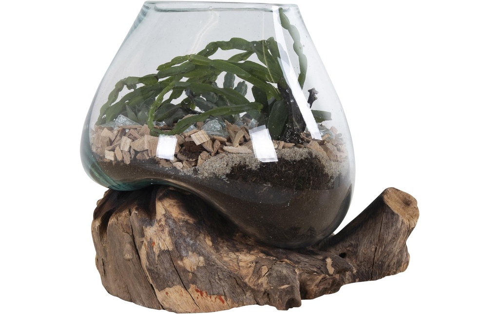 House Nordic Coupe déco San Marino 25 x 18 x 15 cm, 1 Pièce/s, Nature