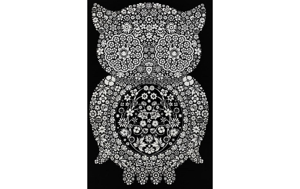 Tataruga Image de velours A4, hibou