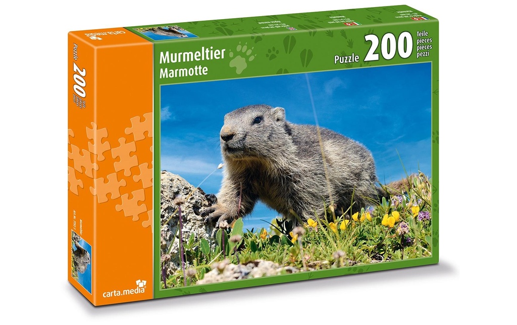 Carta.Media Puzzle Marmotte dans un pré alpin