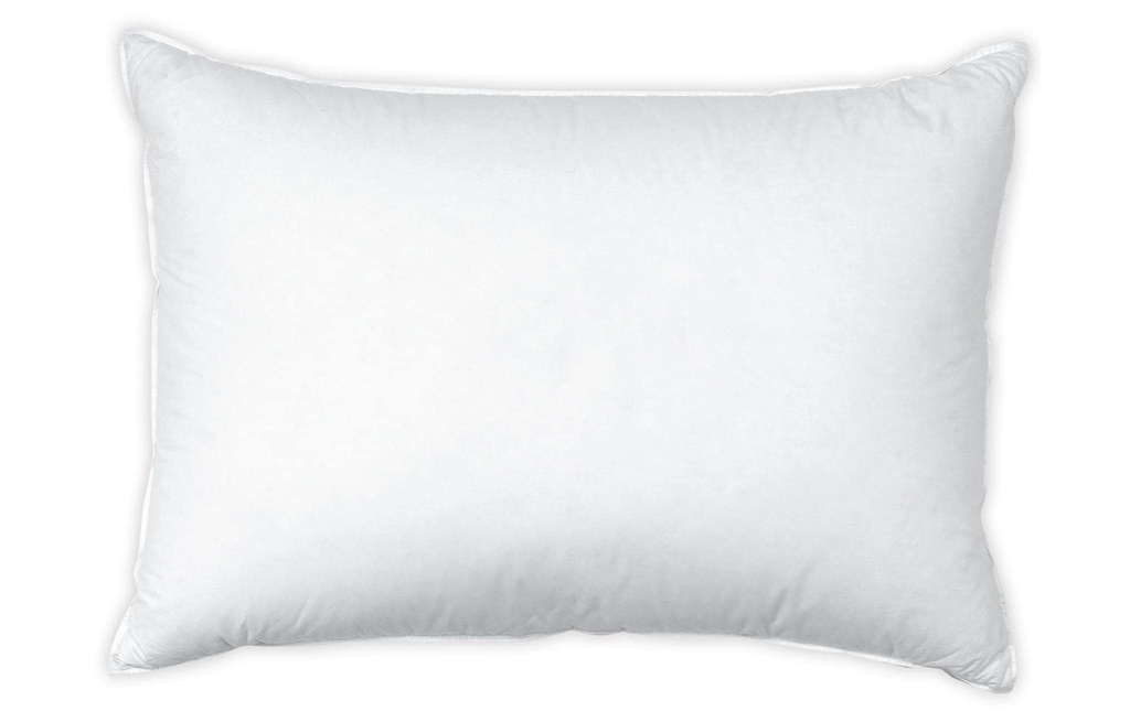 Interio Bettwaren Oreiller classique Basic Regular 65 x 100 cm