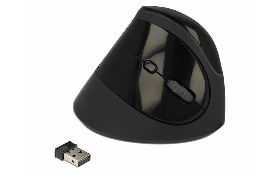 Delock Souris ergonomique 12599 USB sans fil
