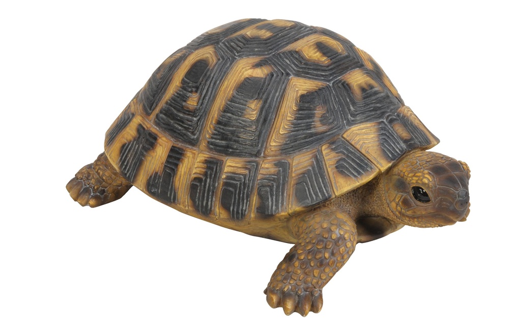 Vivid Arts Figure décorative Tortue terrestre