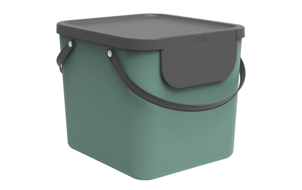 Rotho Bacs de recyclage Albula 40 l, Vert Mistletoe