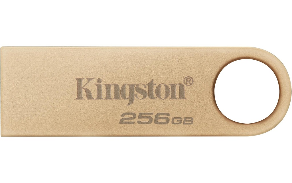 Kingston Clé USB DataTraveler SE9 G3 256 GB